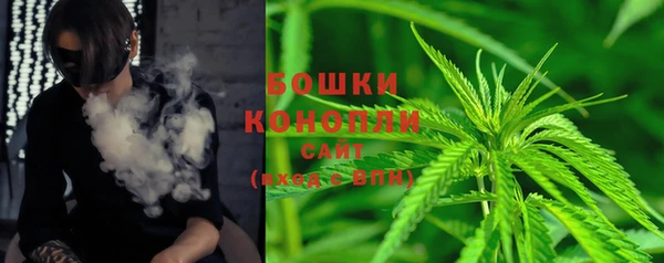 2c-b Богородицк