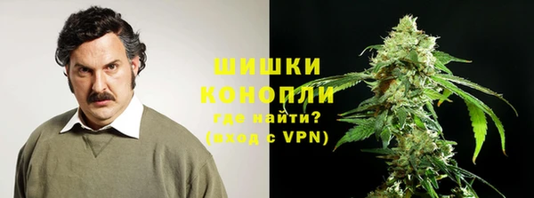 СК Богородск