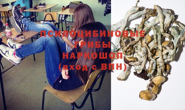 2c-b Богородицк