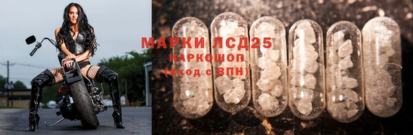 СК Богородск